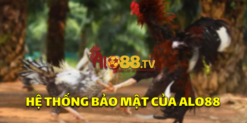 Alo88 bảo vệ thông tin và tài chính của người chơi với công nghệ bảo mật tiên tiến.