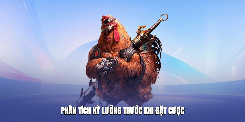 Sử dụng tư duy phân tích lối đá của gà trước khi bắt kèo