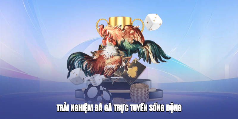 Khuấy đảo danh mục chọi gà đổi thưởng trực tuyến