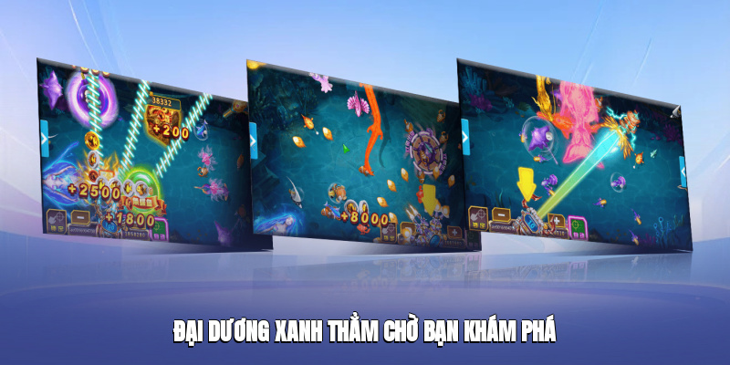 Đại dương xanh thẳm chờ bạn khám phá
