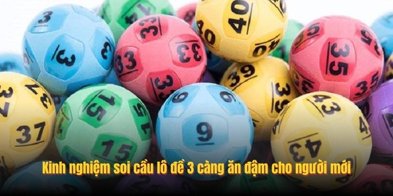 Kinh nghiệm soi cầu lô đề 3 càng ăn đậm cho người mới